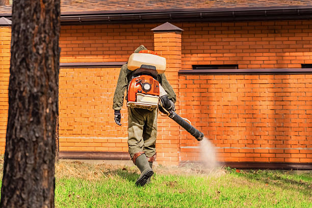 Trusted Ant Control service in Collegedale, TN - Nex Pest Control
